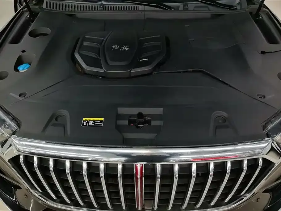 Hongqi HS5 2021 из CN, фото 6