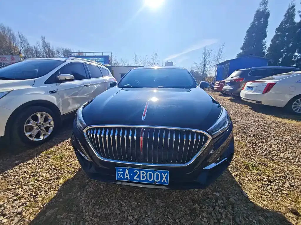 Hongqi H5 2023 из CN, фото 2