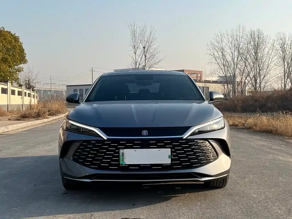 BYD Qin L 2024 из CN, фото 4