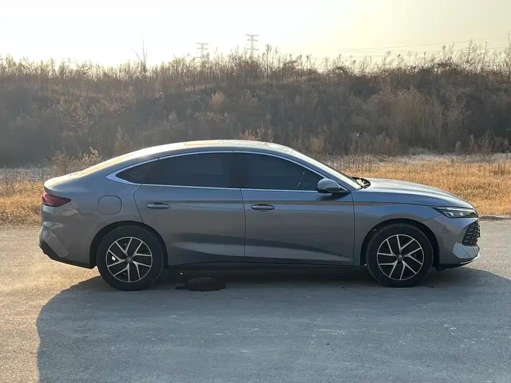 BYD Qin L 2024 из CN, фото 8