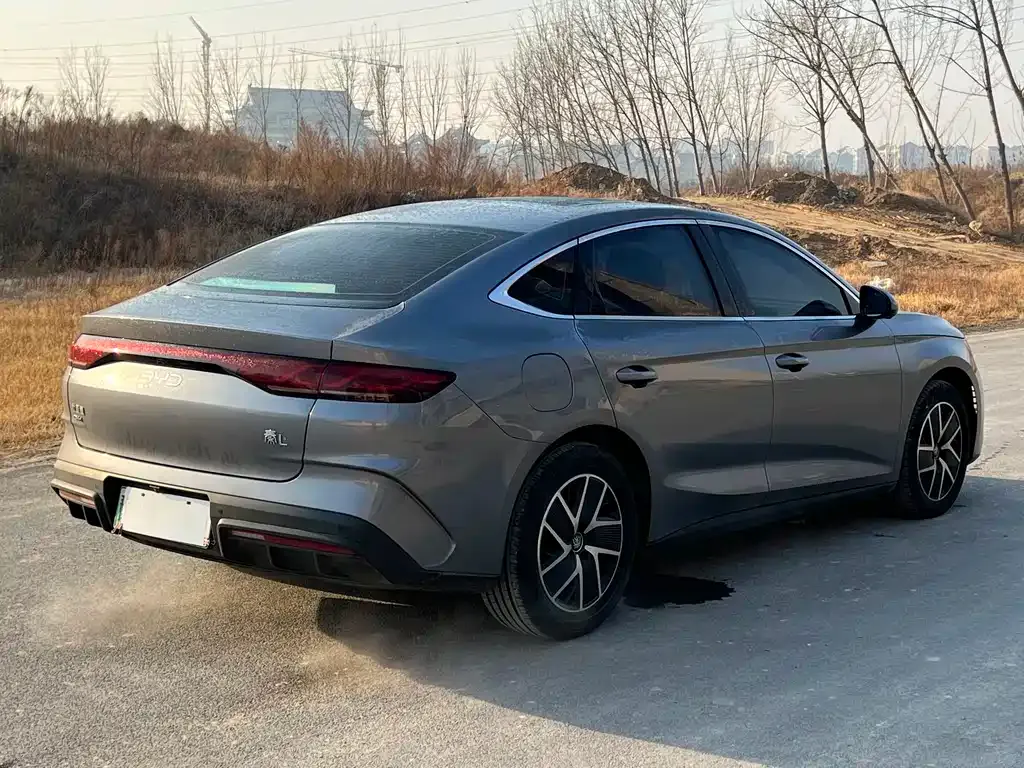 BYD Qin L 2024 из CN, фото 9