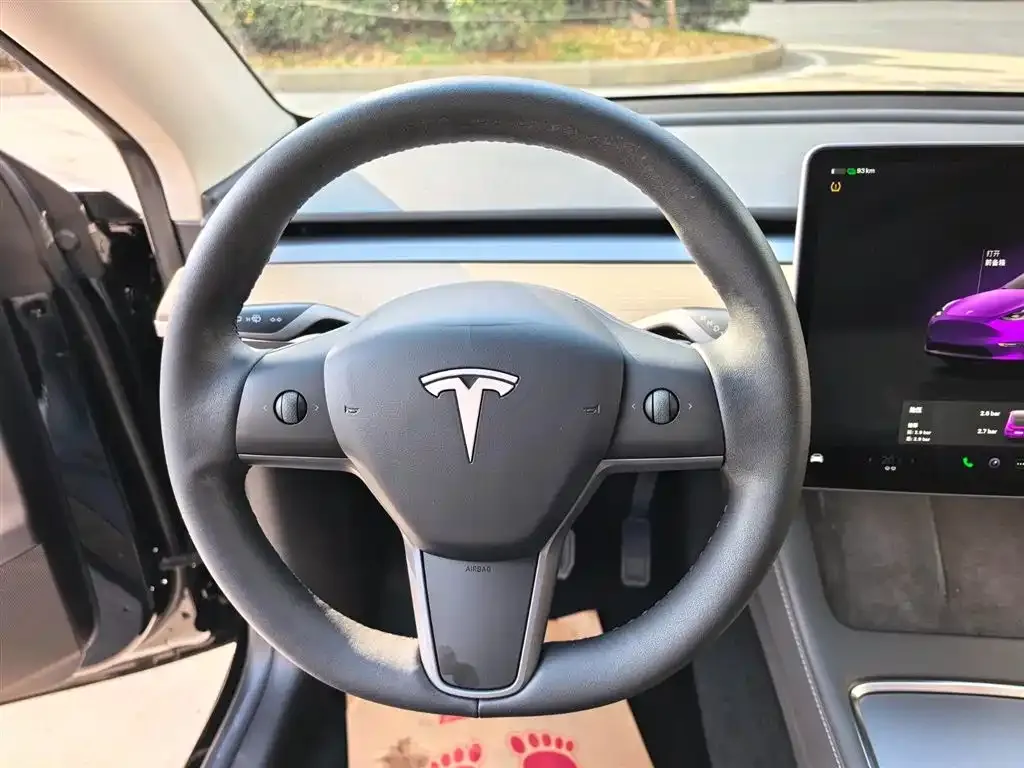 Tesla Model Y 2023 из CN, фото 2