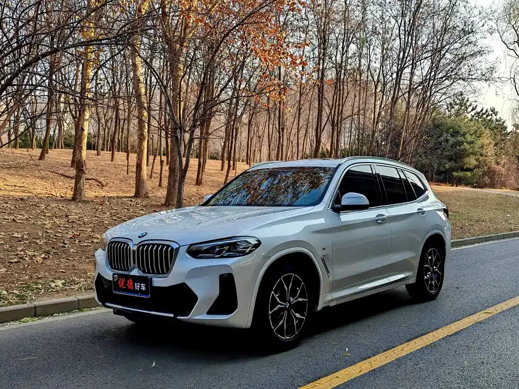 BMW X3 2021 из CN, фото 1