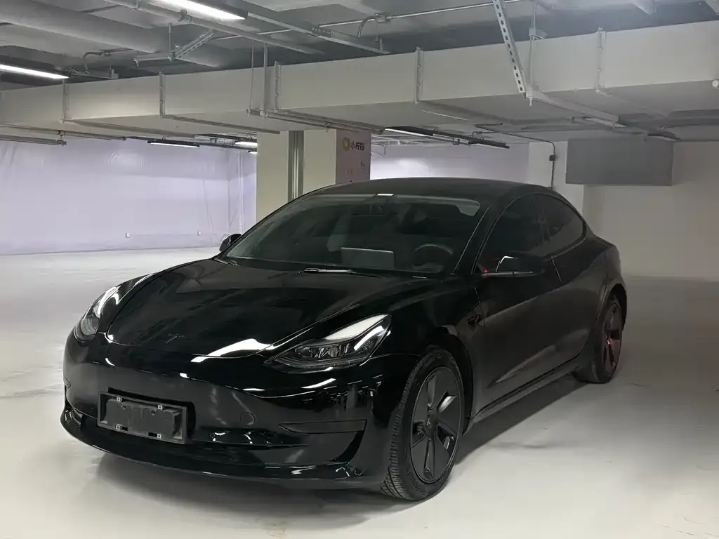 Tesla Model 3 2021 из CN, фото 1