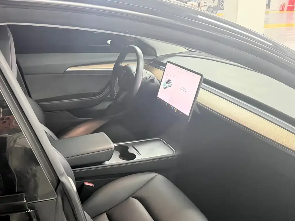 Tesla Model 3 2021 из CN, фото 4