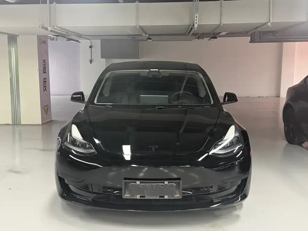Tesla Model 3 2021 из CN, фото 10