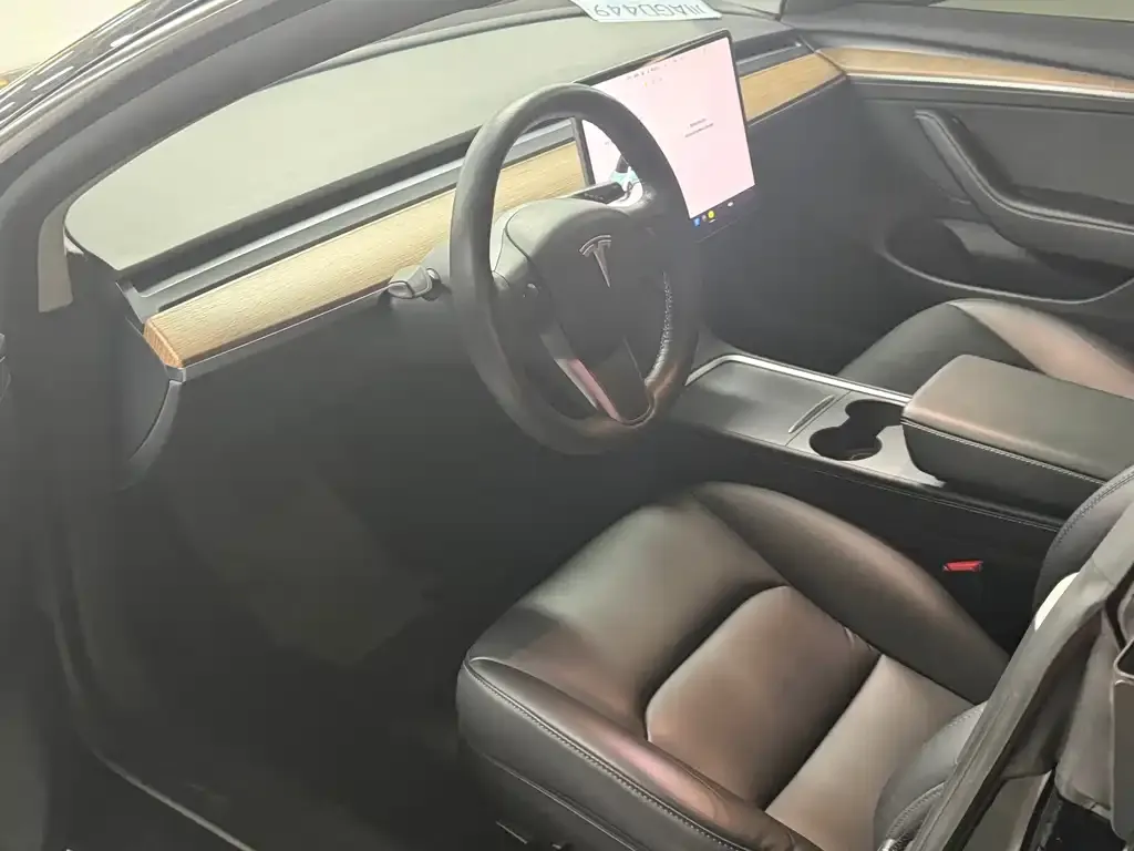 Tesla Model 3 2021 из CN, фото 5