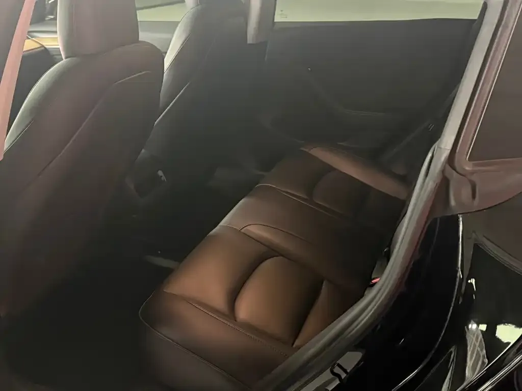Tesla Model 3 2021 из CN, фото 3
