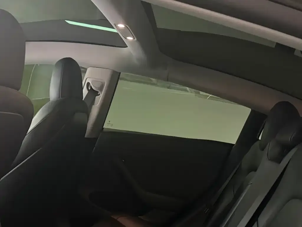 Tesla Model 3 2021 из CN, фото 6