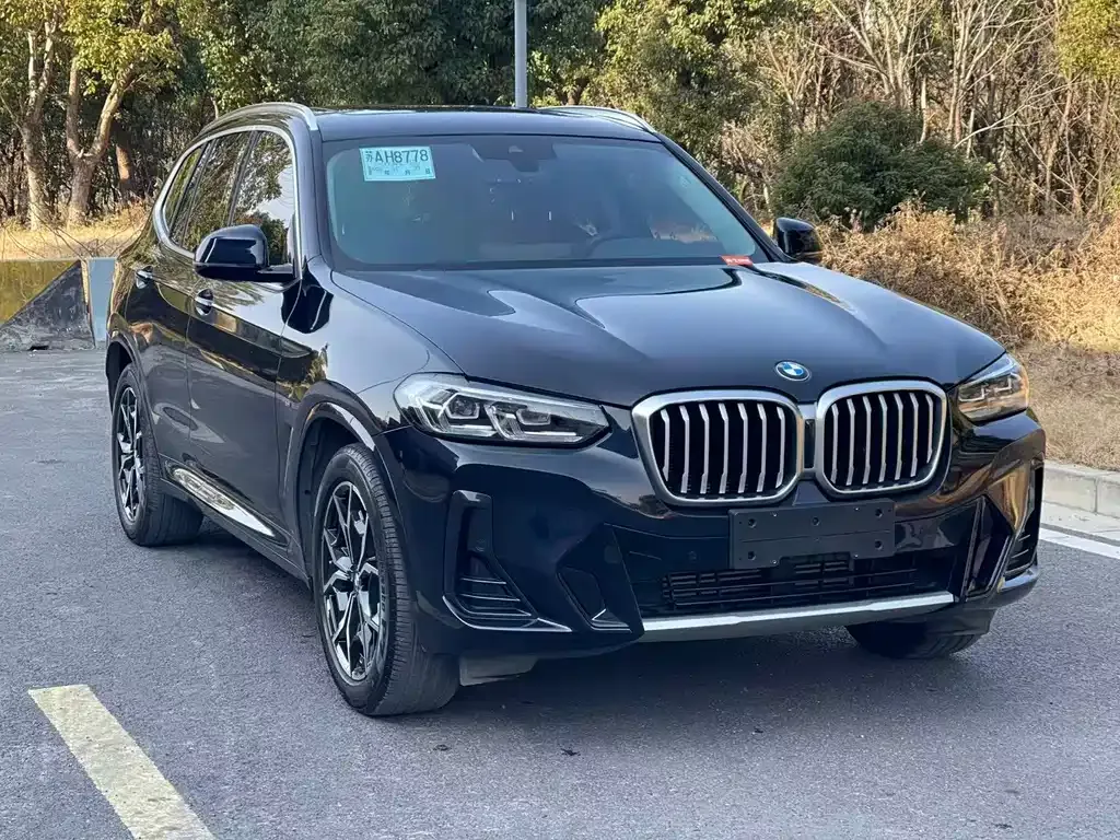 BMW X3 2022 из CN, фото 6
