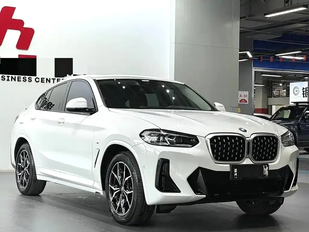 BMW X4 2021 из CN, фото 8