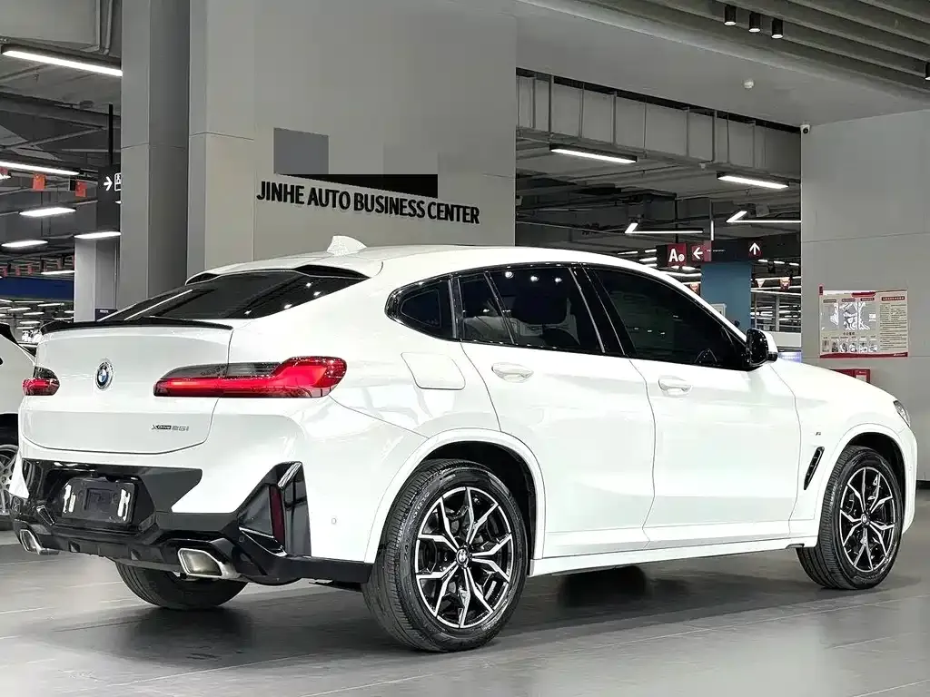BMW X4 2021 из CN, фото 4