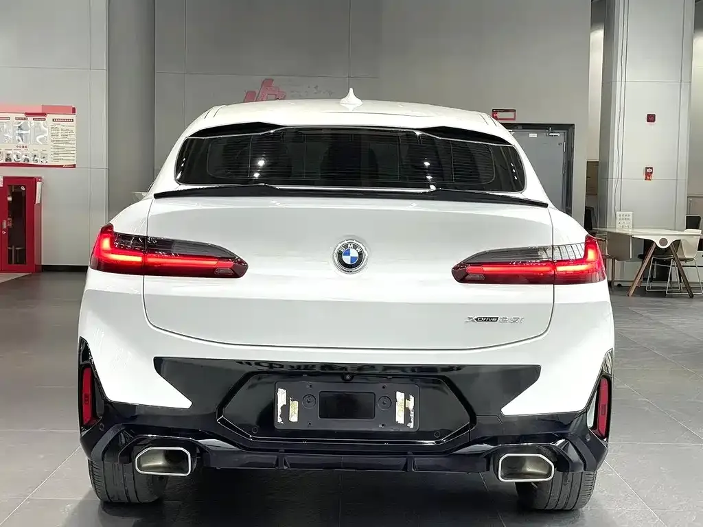BMW X4 2021 из CN, фото 6