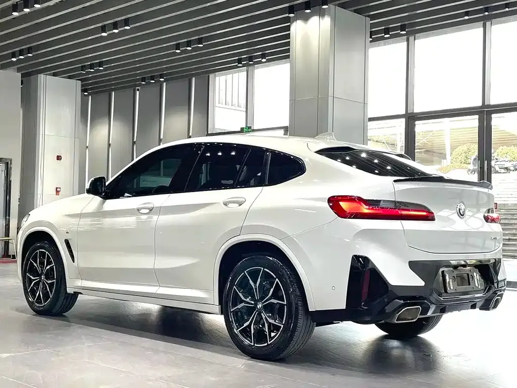BMW X4 2021 из CN, фото 5