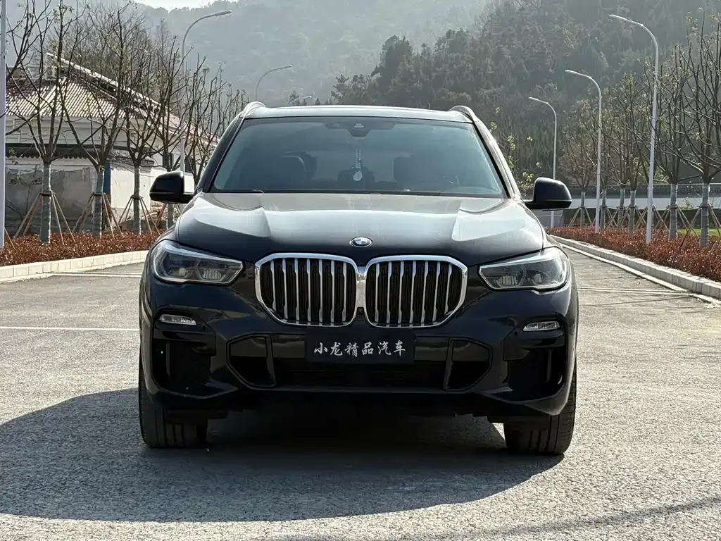 BMW X5 (Import) 2021 из CN, фото 10