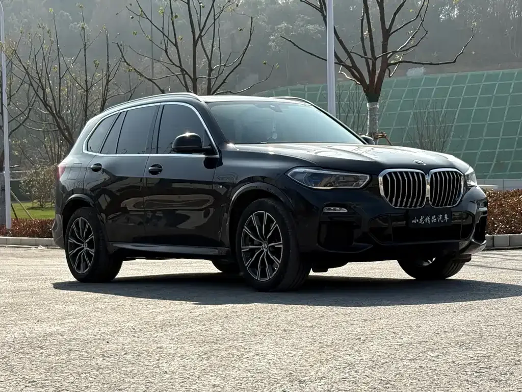 BMW X5 (Import) 2021 из CN, фото 9