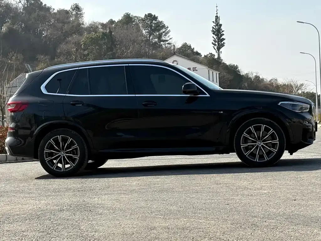 BMW X5 (Import) 2021 из CN, фото 8