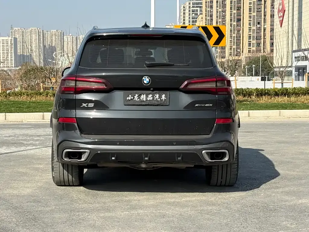 BMW X5 (Import) 2021 из CN, фото 4