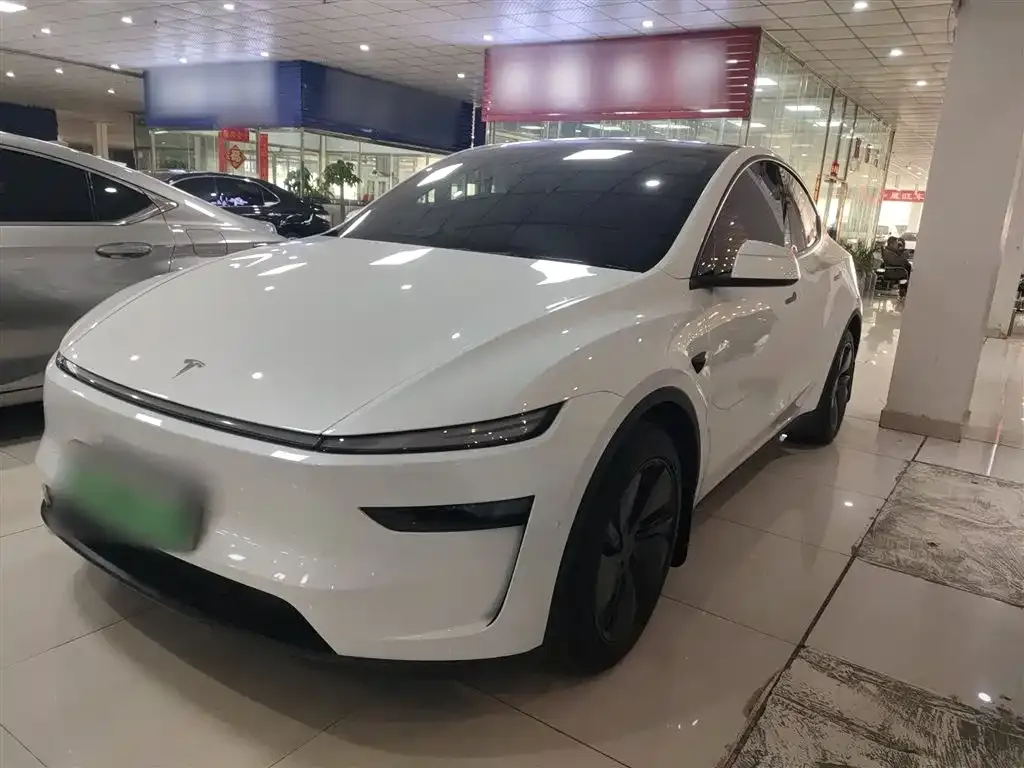 Tesla Model Y 2025 из CN, фото 1