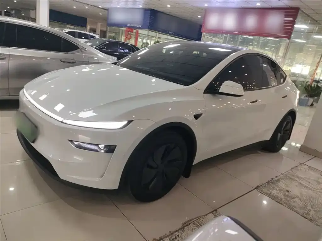 Tesla Model Y 2025 из CN, фото 5