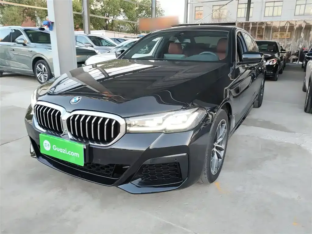 BMW 5 Series 2022 из CN, фото 1