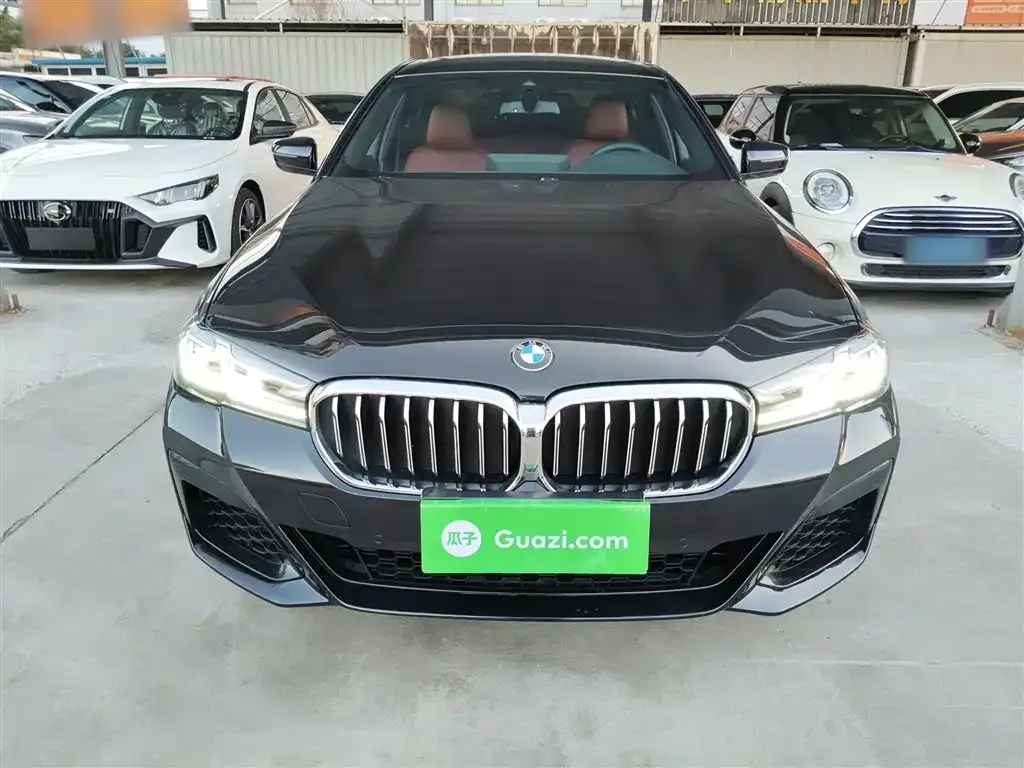 BMW 5 Series 2022 из CN, фото 8