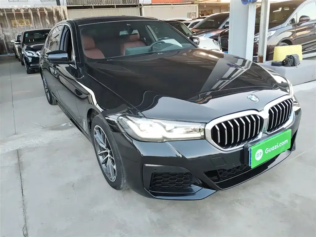 BMW 5 Series 2022 из CN, фото 2