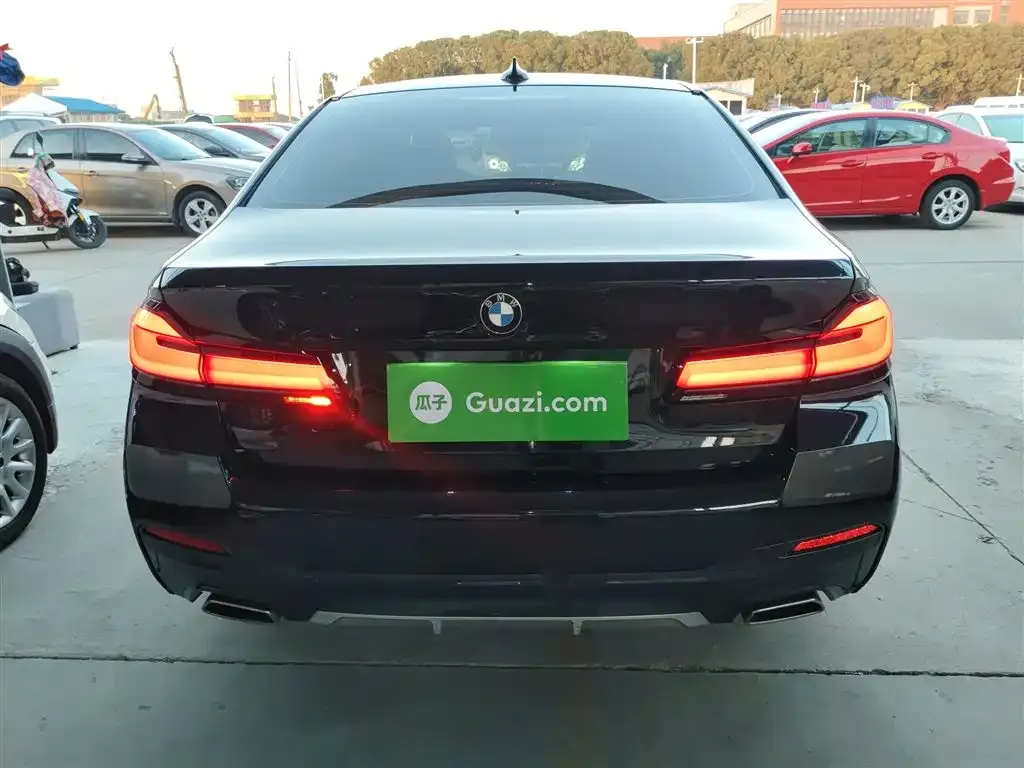 BMW 5 Series 2022 из CN, фото 9