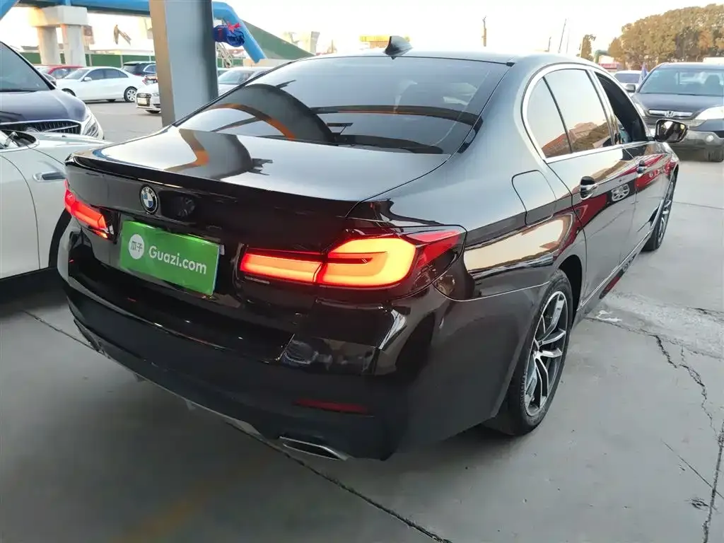 BMW 5 Series 2022 из CN, фото 5