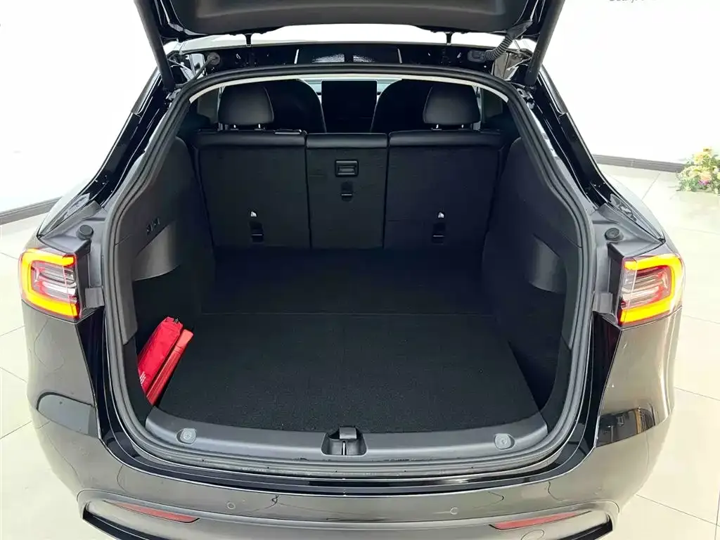 Tesla Model Y 2023 из CN, фото 10