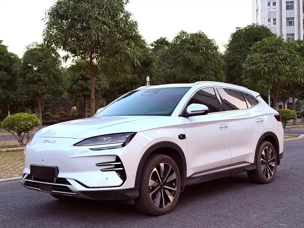 BYD PLUS New Energy — фото 1