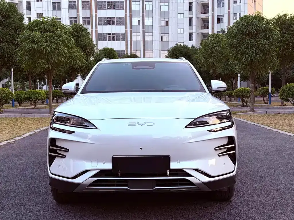 BYD PLUS New Energy — фото 6