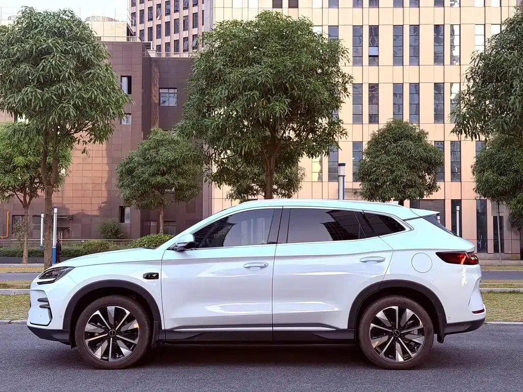 BYD PLUS New Energy — фото 9