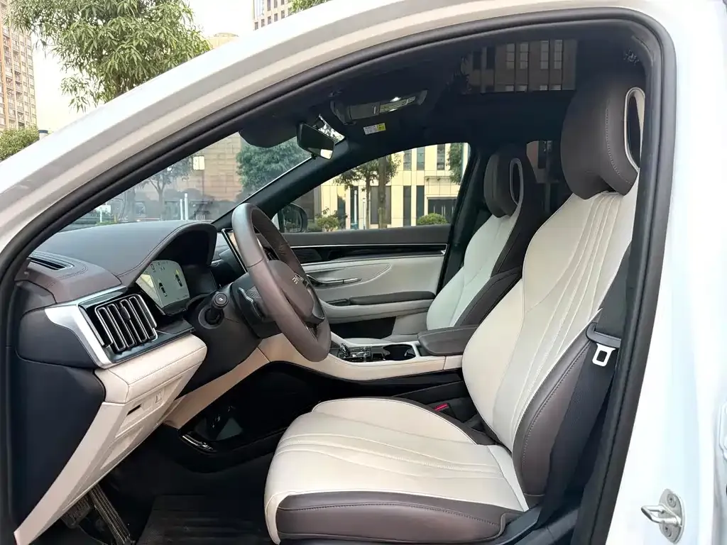 BYD PLUS New Energy — фото 2