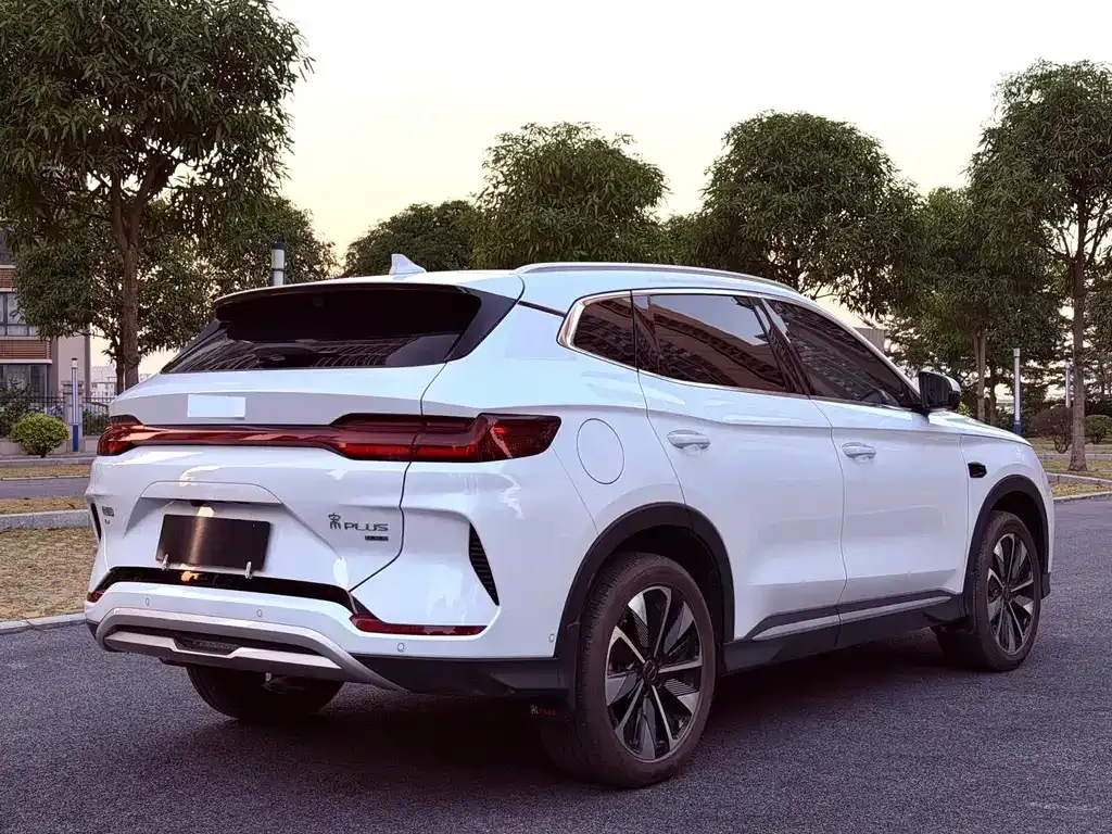 BYD PLUS New Energy — фото 4