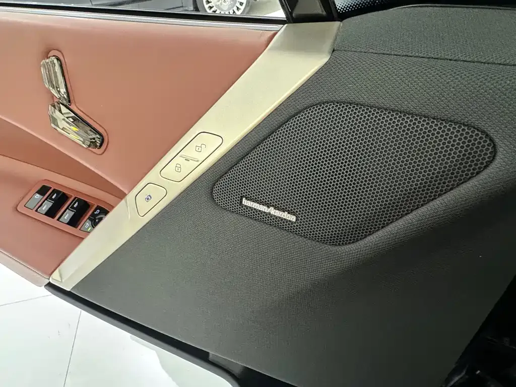 BMW iX 2024 из CN, фото 2