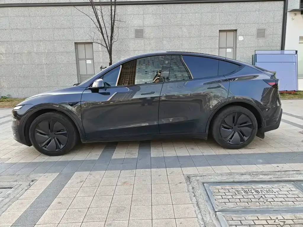 Tesla Model Y 2025 из CN, фото 6