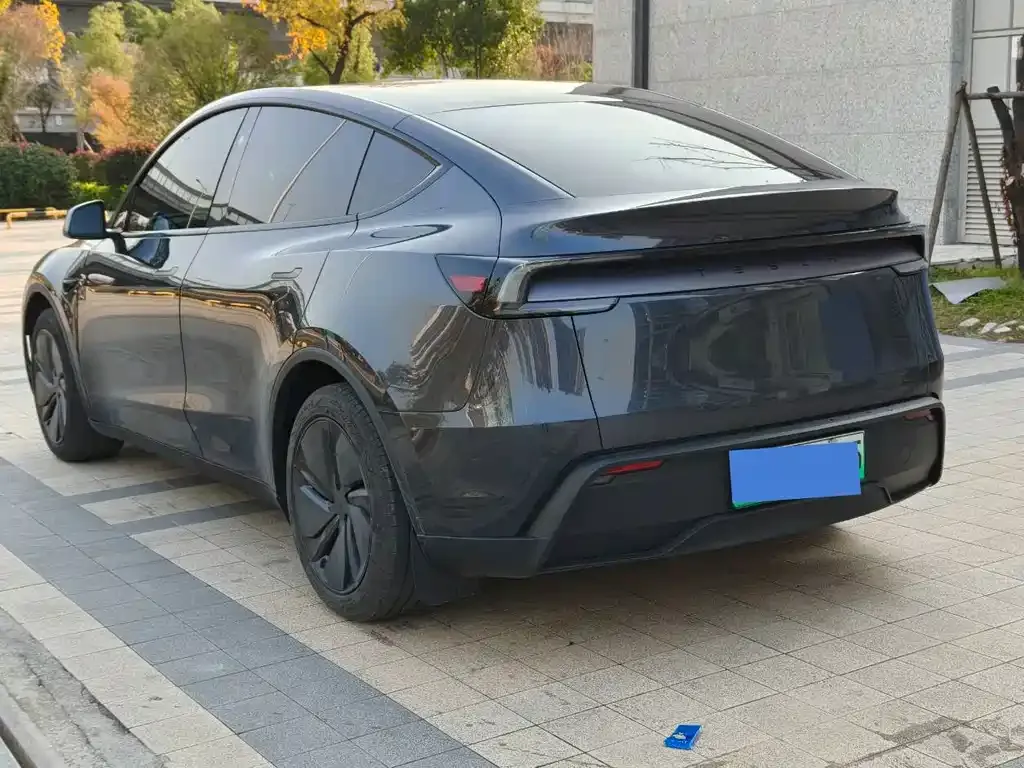 Tesla Model Y 2025 из CN, фото 4