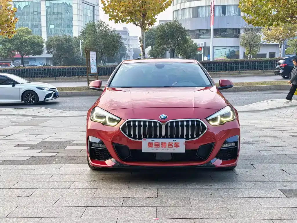 BMW 2 Series (Import) 2021 из CN, фото 8