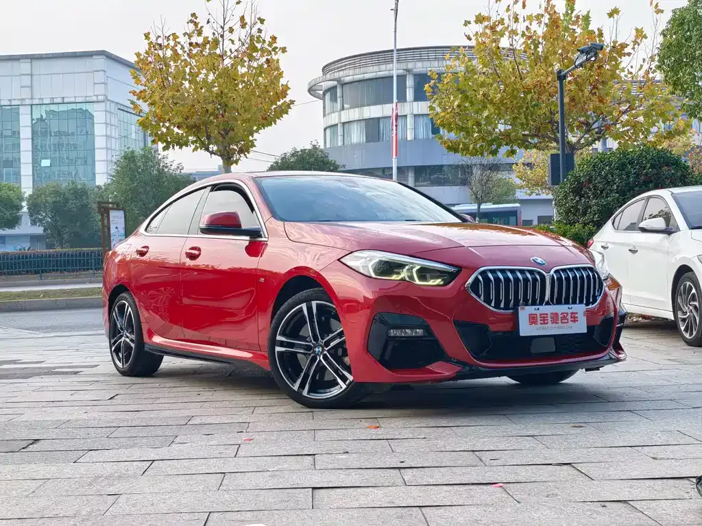 BMW 2 Series (Import) 2021 из CN, фото 4