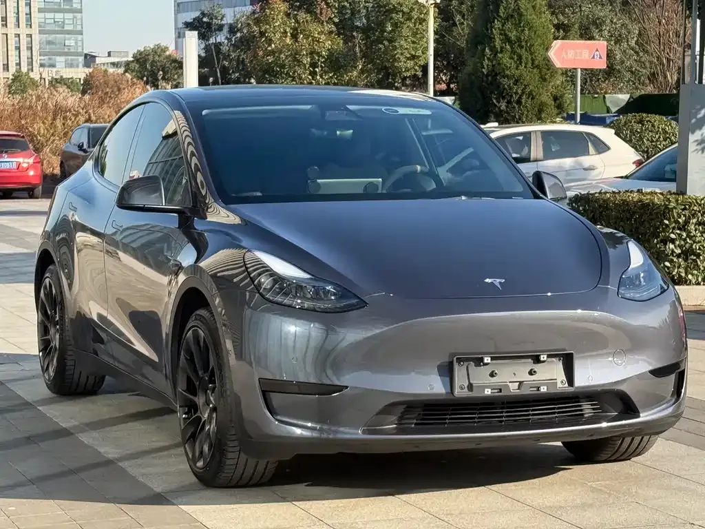 Tesla Model Y 2023 из CN, фото 7