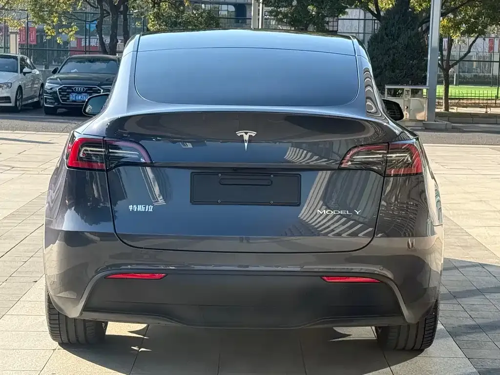 Tesla Model Y 2023 из CN, фото 9