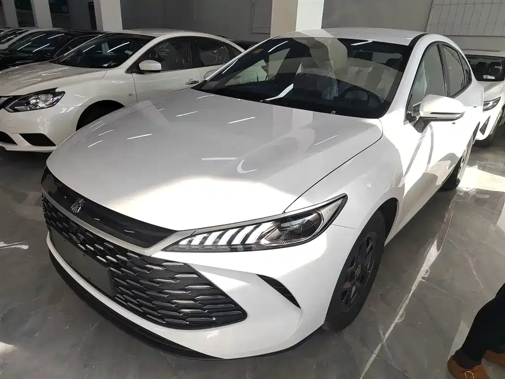 BYD Qin PLUS 2025 из CN, фото 1