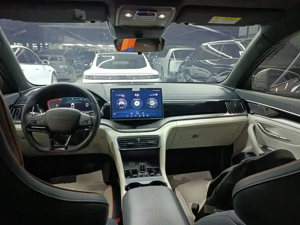 BYD PLUS New Energy 2023 из CN, фото 10