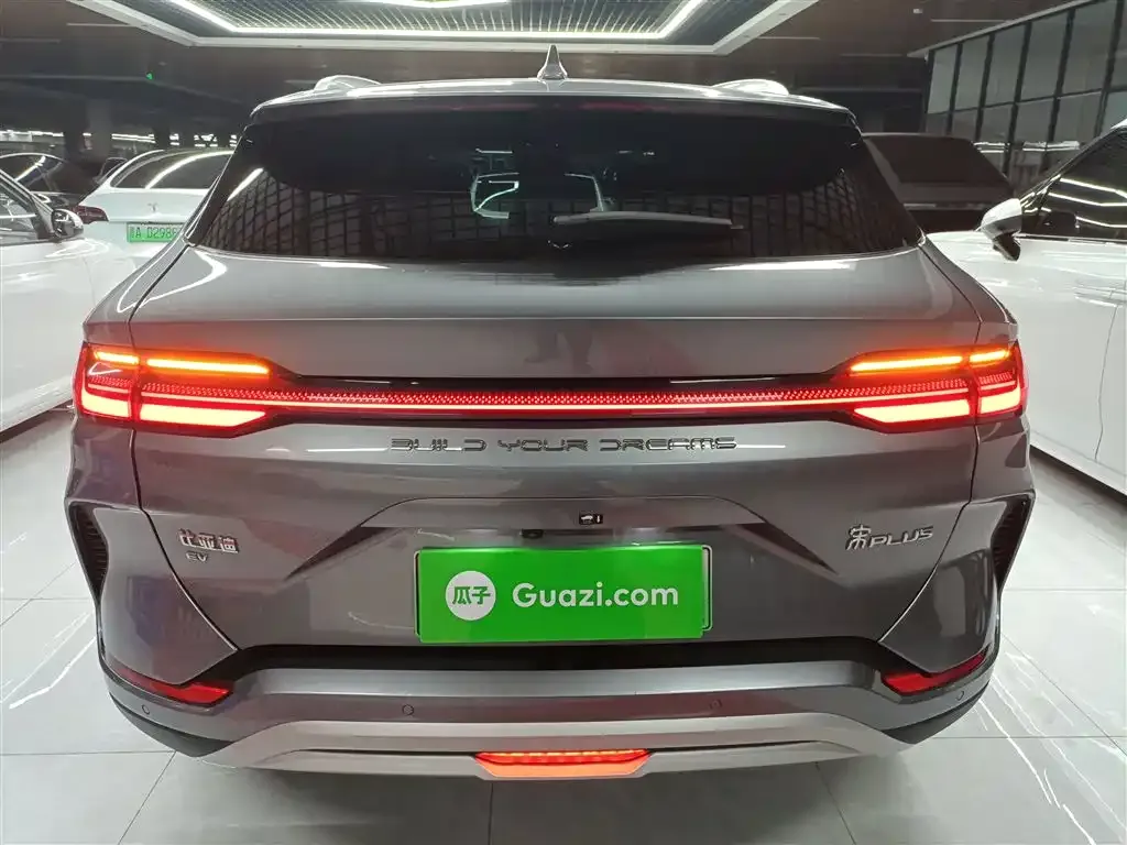 BYD PLUS New Energy 2023 из CN, фото 6