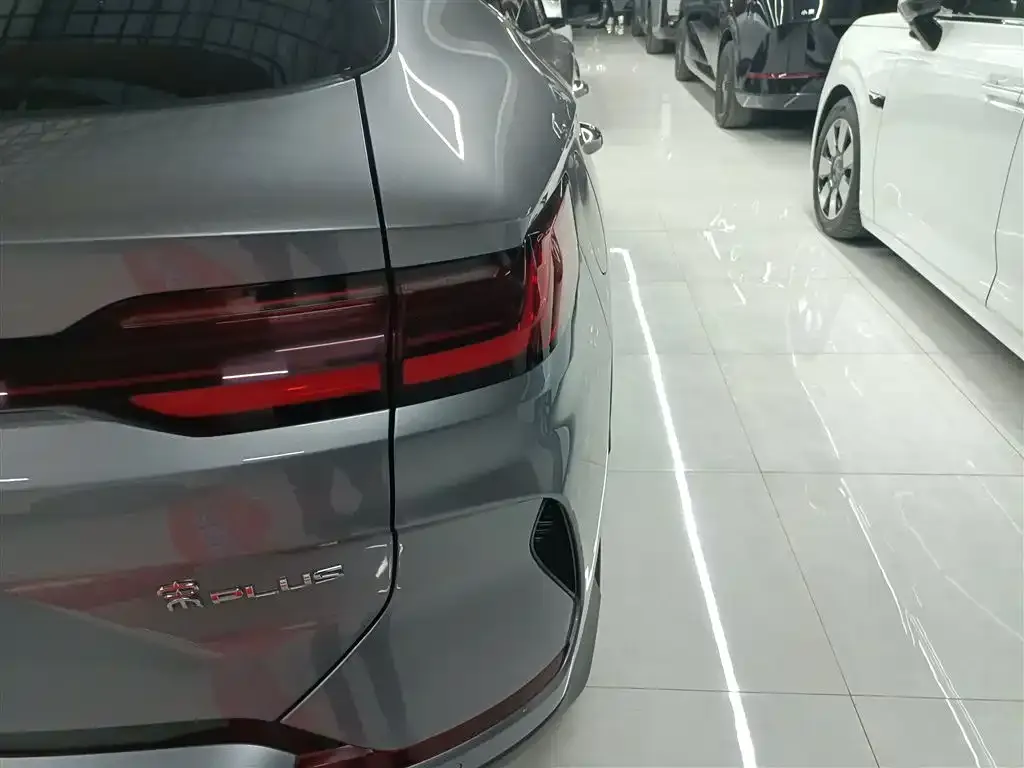 BYD PLUS New Energy 2023 из CN, фото 8