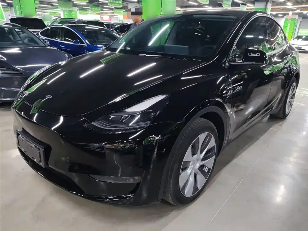 Tesla Model Y 2021 из CN, фото 1