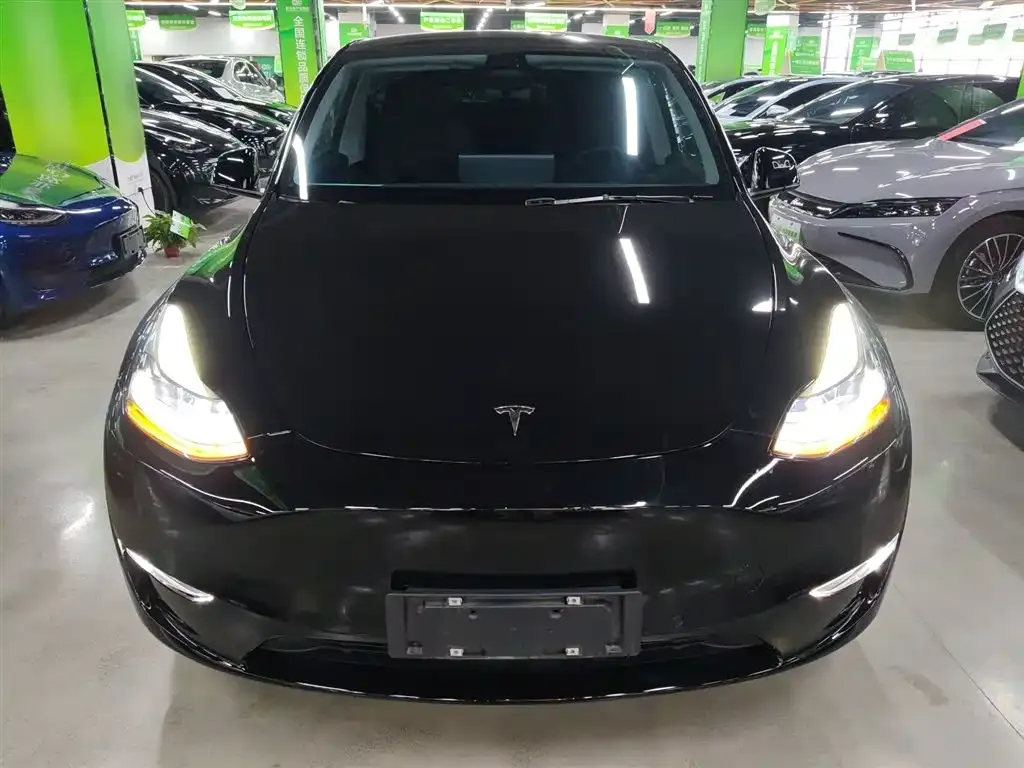 Tesla Model Y 2021 из CN, фото 3
