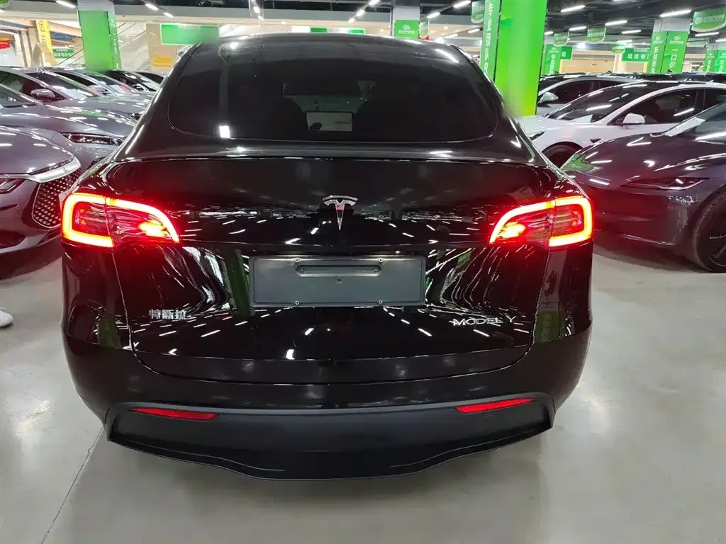 Tesla Model Y 2021 из CN, фото 6