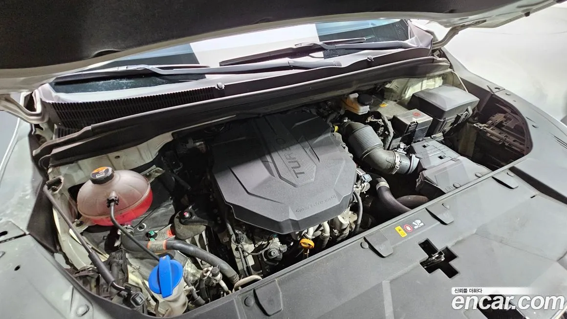 [object Object] Canival 2021 из KR, фото 6